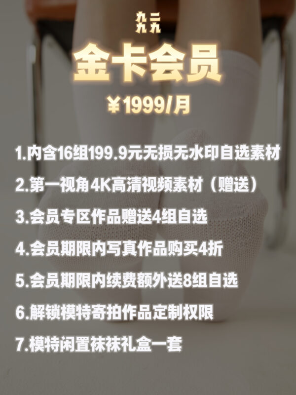 金钻会员 ¥1999/月