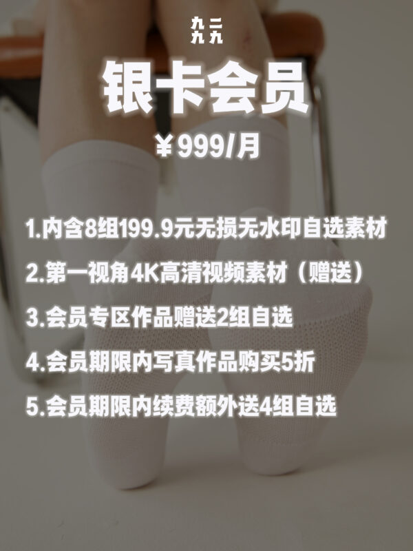 银钻会员 ¥999/月